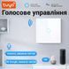 Одноканальный сенсорный WiFi выключатель с управлением через смартфон Digital Lion WS01, поддержка Tuya, с нулем, White