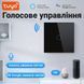 Одноканальный сенсорный WiFi выключатель с управлением через смартфон Digital Lion WS01, поддержка Tuya, с нулем, Black