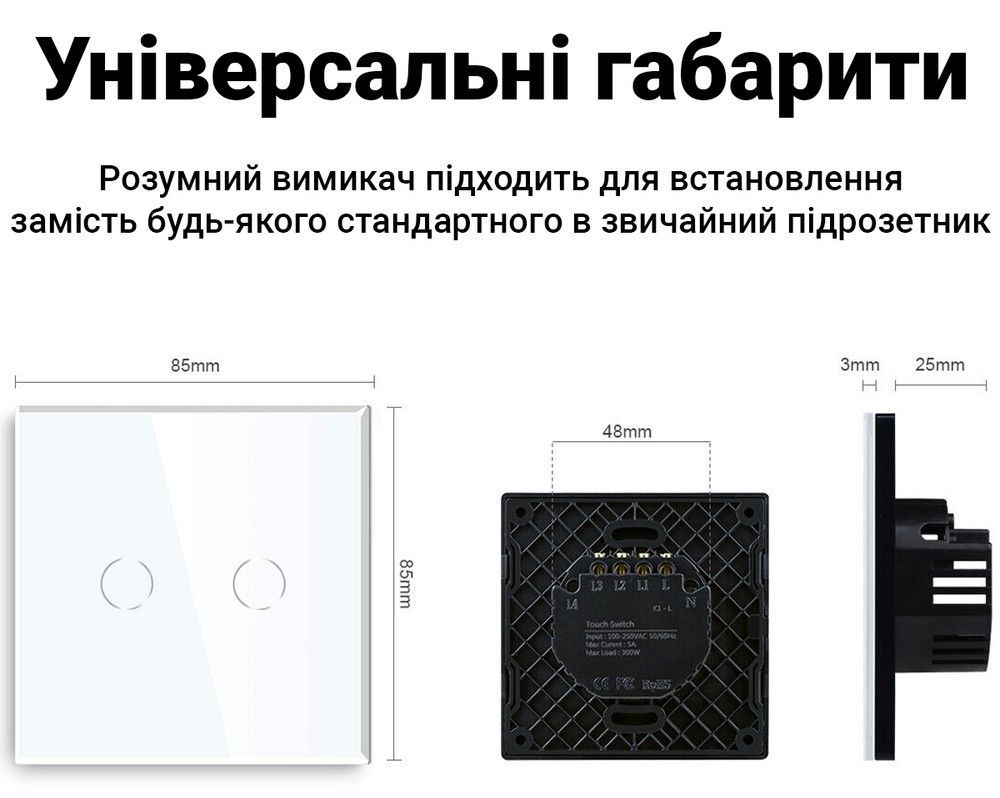 Двухканальный сенсорный WiFi выключатель с управлением через смартфон Digital Lion WS02, поддержка Tuya, с нулем, White