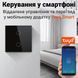 Двухканальный сенсорный WiFi выключатель с управлением через смартфон Digital Lion WS02, поддержка Tuya, с нулем, Black